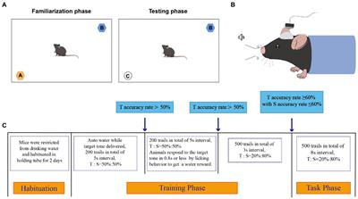 Disrupted gut microbiota aggravates working memory dysfunction induced by high-altitude exposure in mice